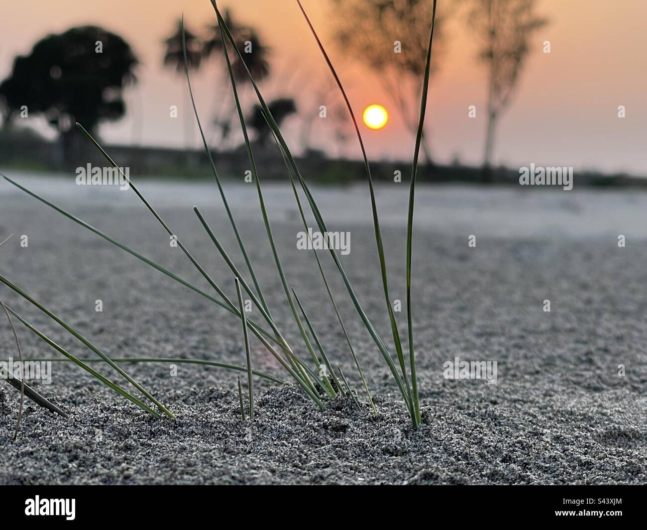 Setting sun in Dikhan - Smartphone Captured Stock Image
