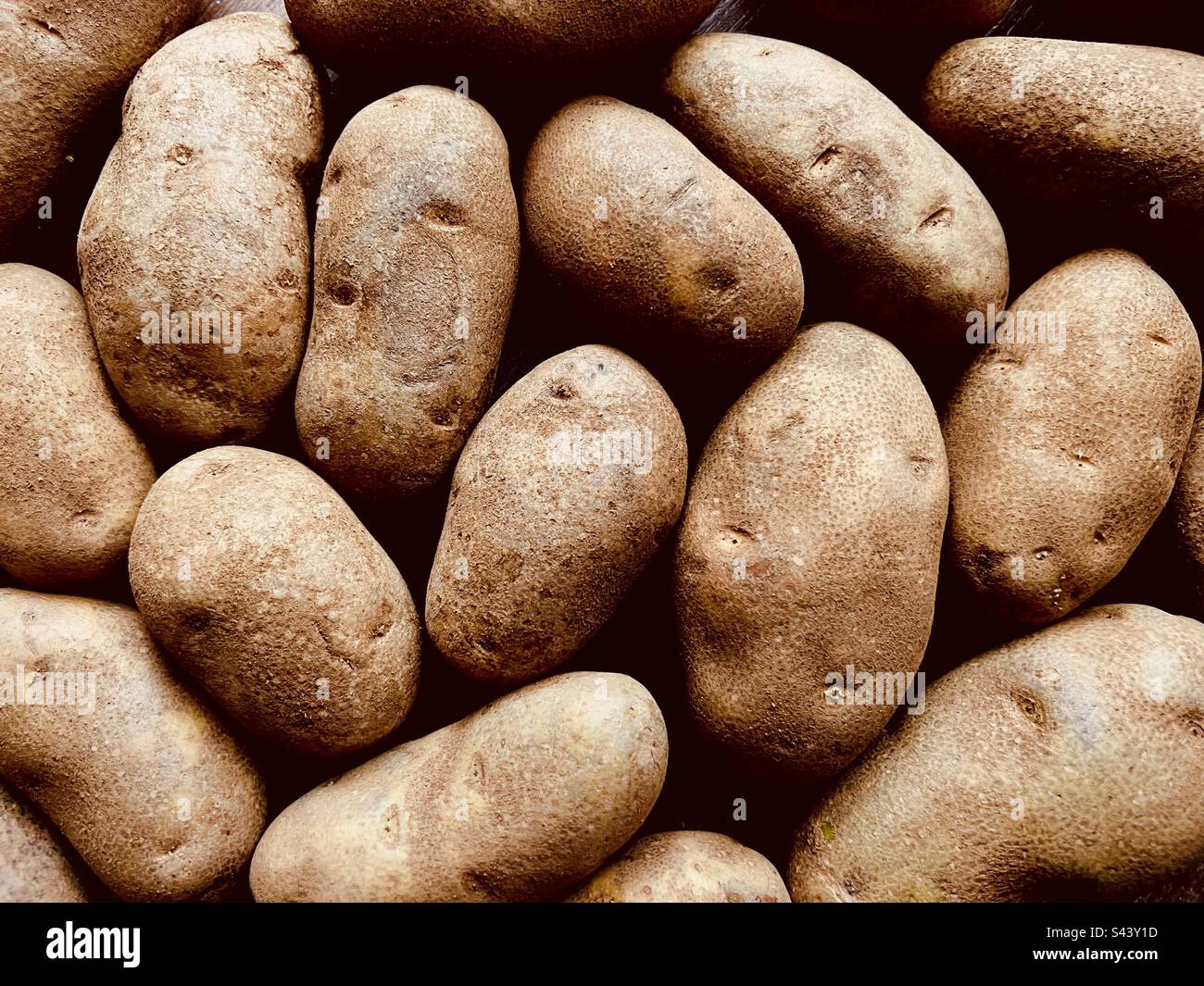 Full frame of russet potatoes - Smartphone Captured Stock Image