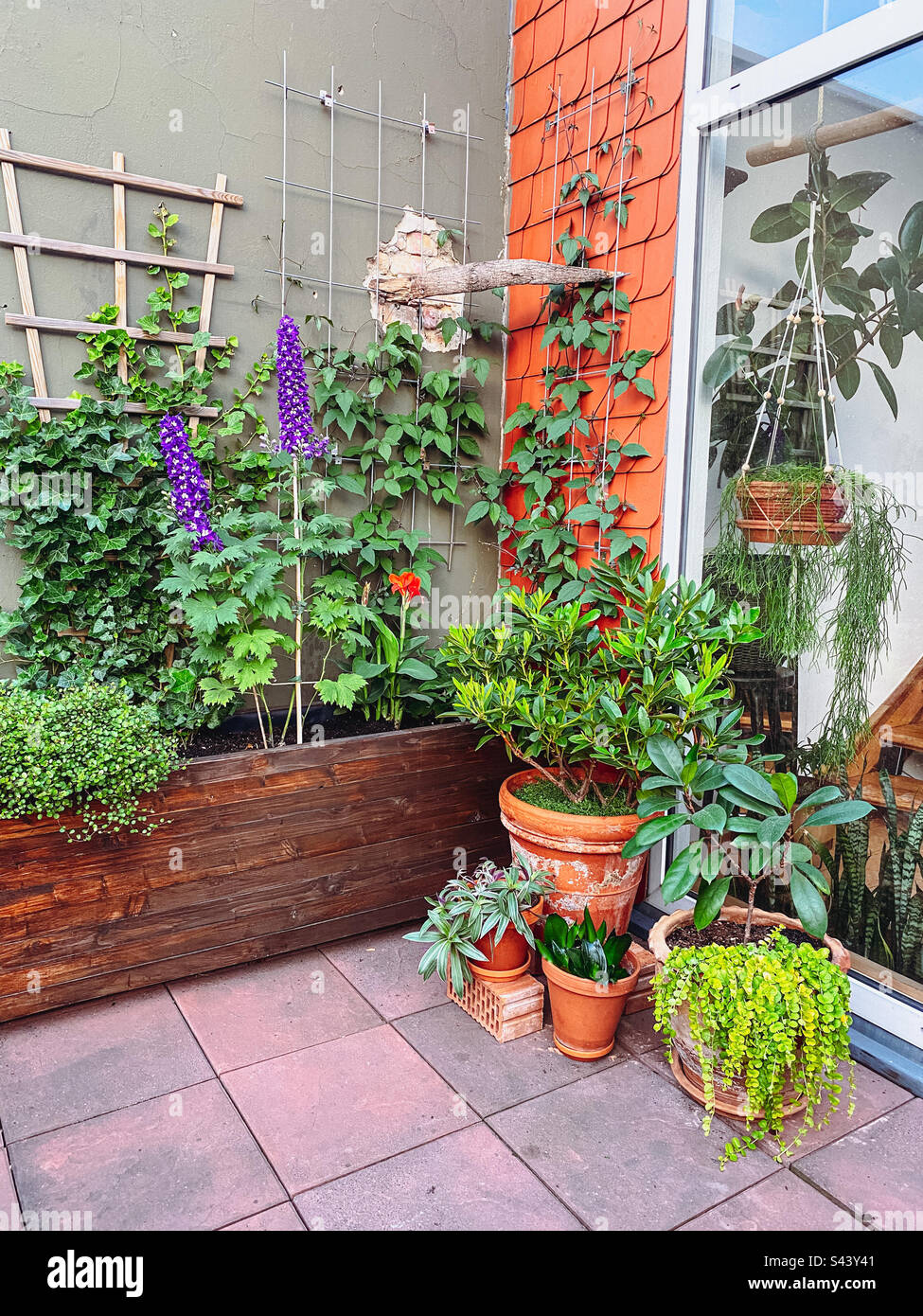 Outdoor setting of an urban garden. - Smartphone Captured Stock Image