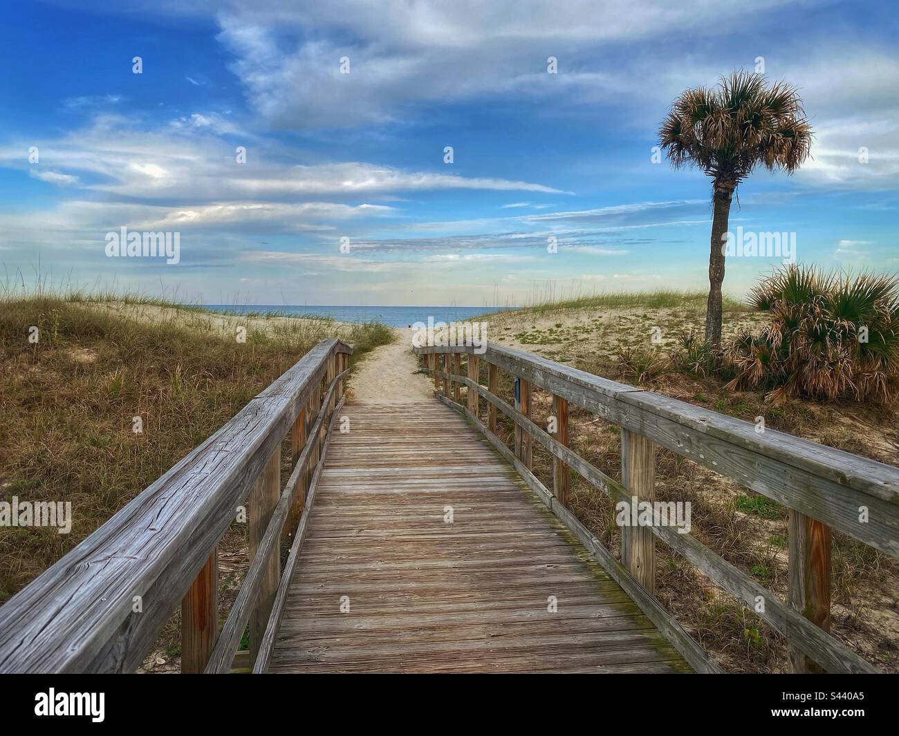 Fernandina beach hires stock photography and images Alamy