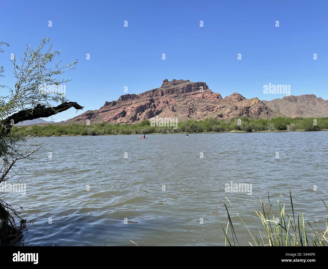 Red Mountain, Salt River, brilliant blue sky, paddle boarders, cattails, Bush Highway, Arizona, Tonto National Forest, Mesa, Fountain Hills Stock Photo