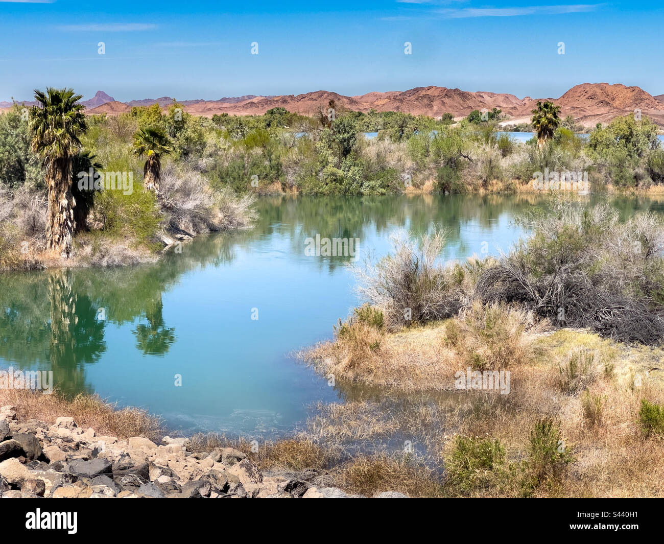 Desert landscape and small lake area near Senators Wash Yuma AZ Stock