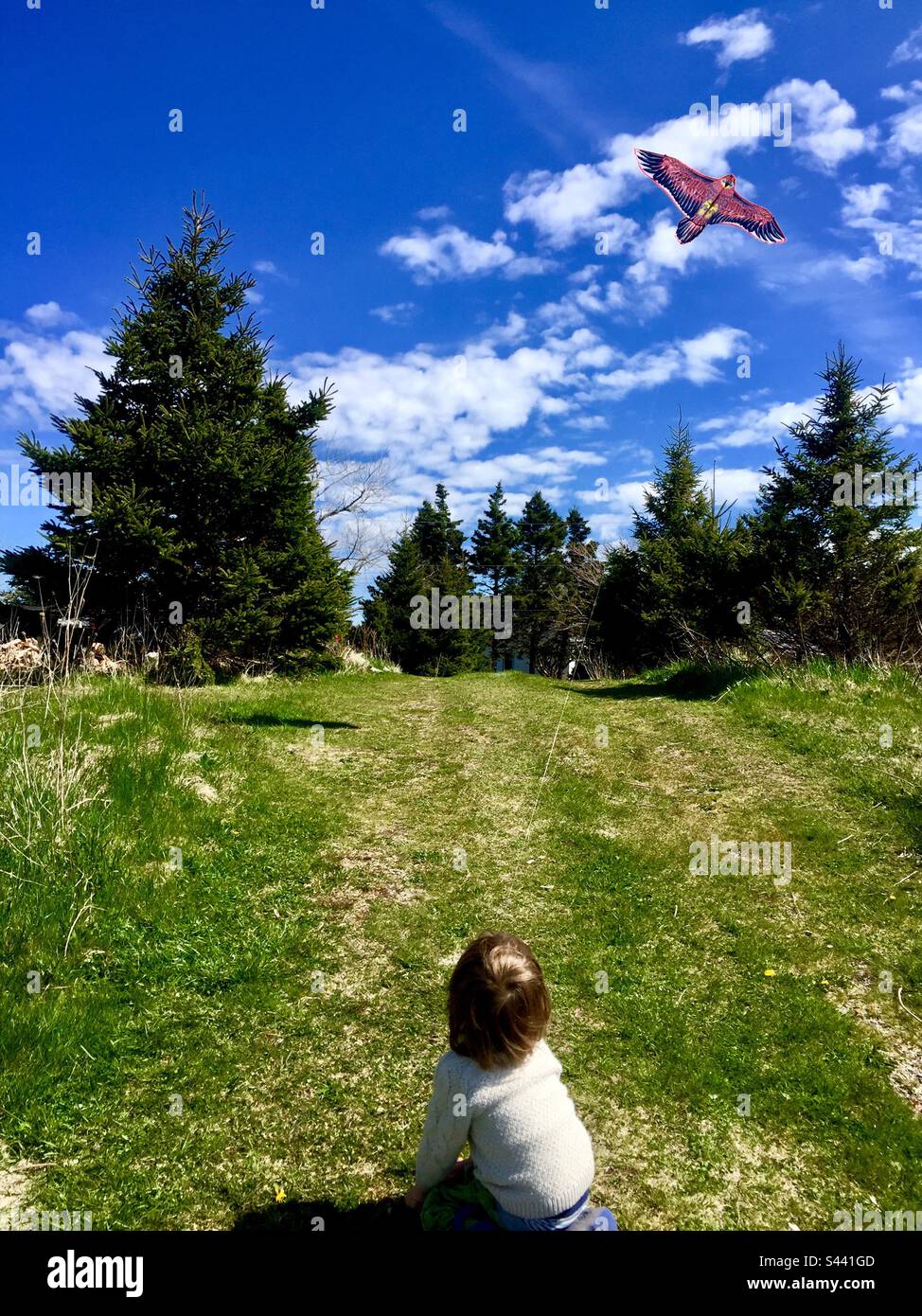 A kid and a kite on a blue sky day, Nova Scotia, Canada. Green surroundings. Lovely day.up in the air. Man made. Hand made - Smartphone Captured Stock Image