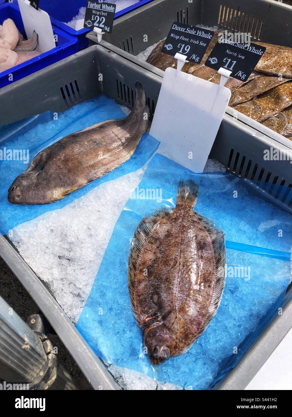 Fresh Lemon Sole and Dover Sole for sale at local farmers market - Smartphone Captured Stock Image