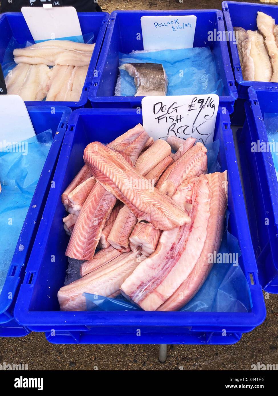 Dogfish or Rock salmon fillets priced up for sale at local farmers market - Smartphone Captured Stock Image