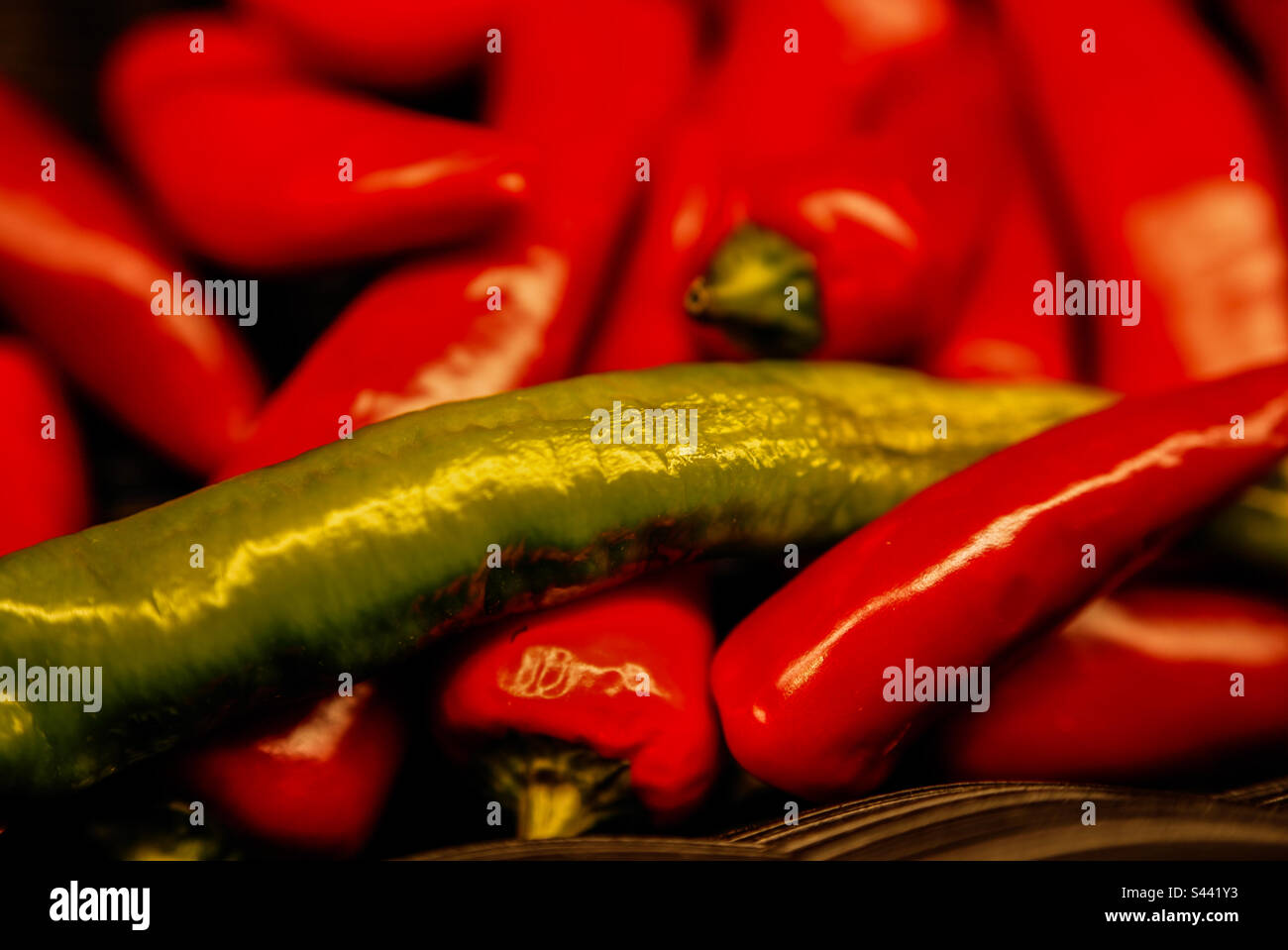 One green jalapeño pepper with the red peppers - Smartphone Captured Stock Image