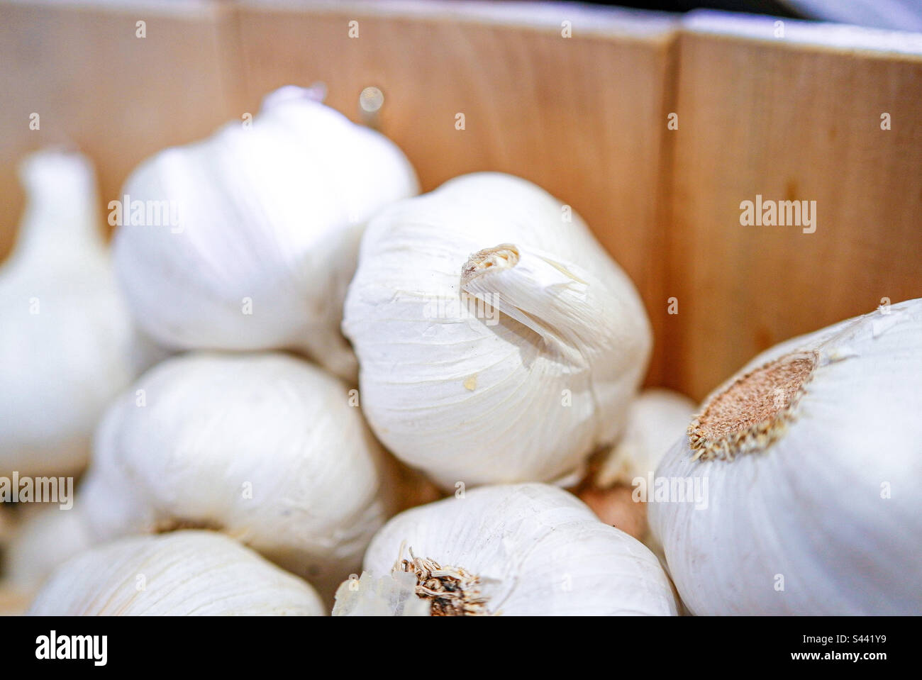 Bulbs of garlic in a barrel - Smartphone Captured Stock Image