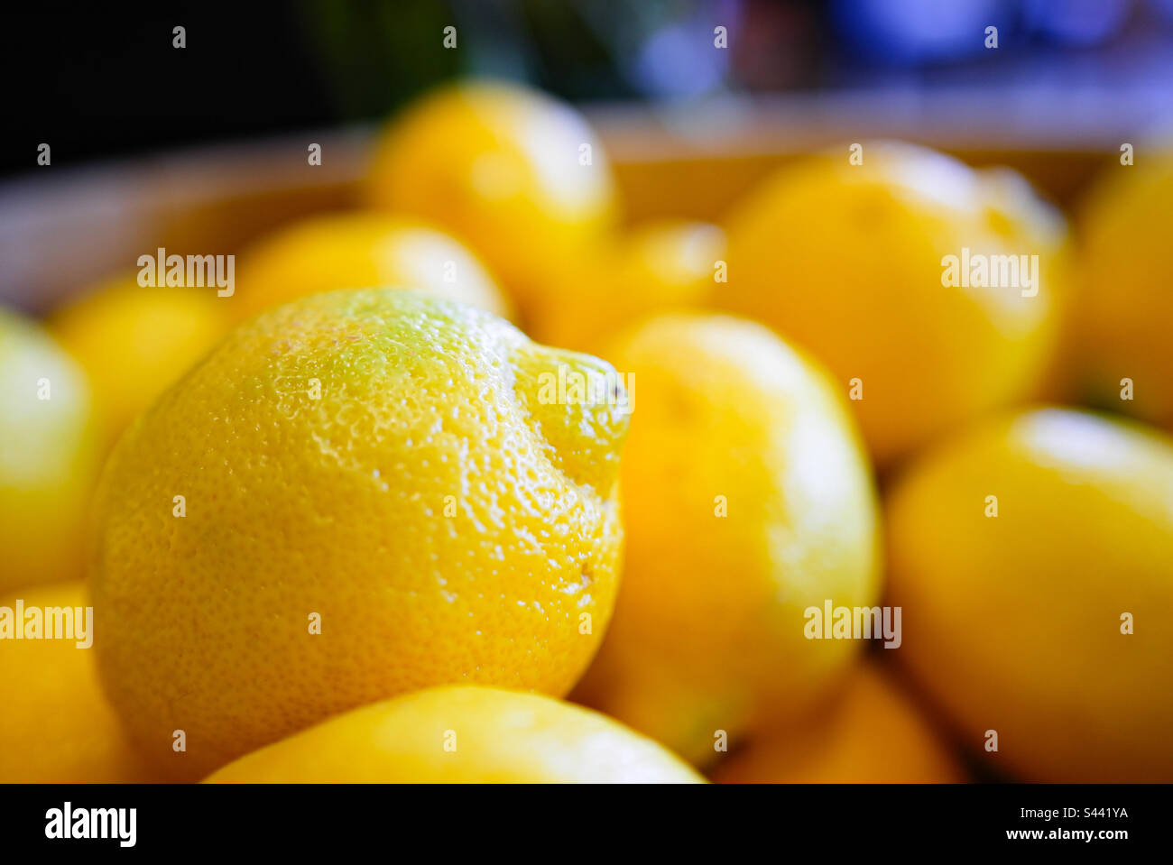 A bunch of lemons Stock Photo