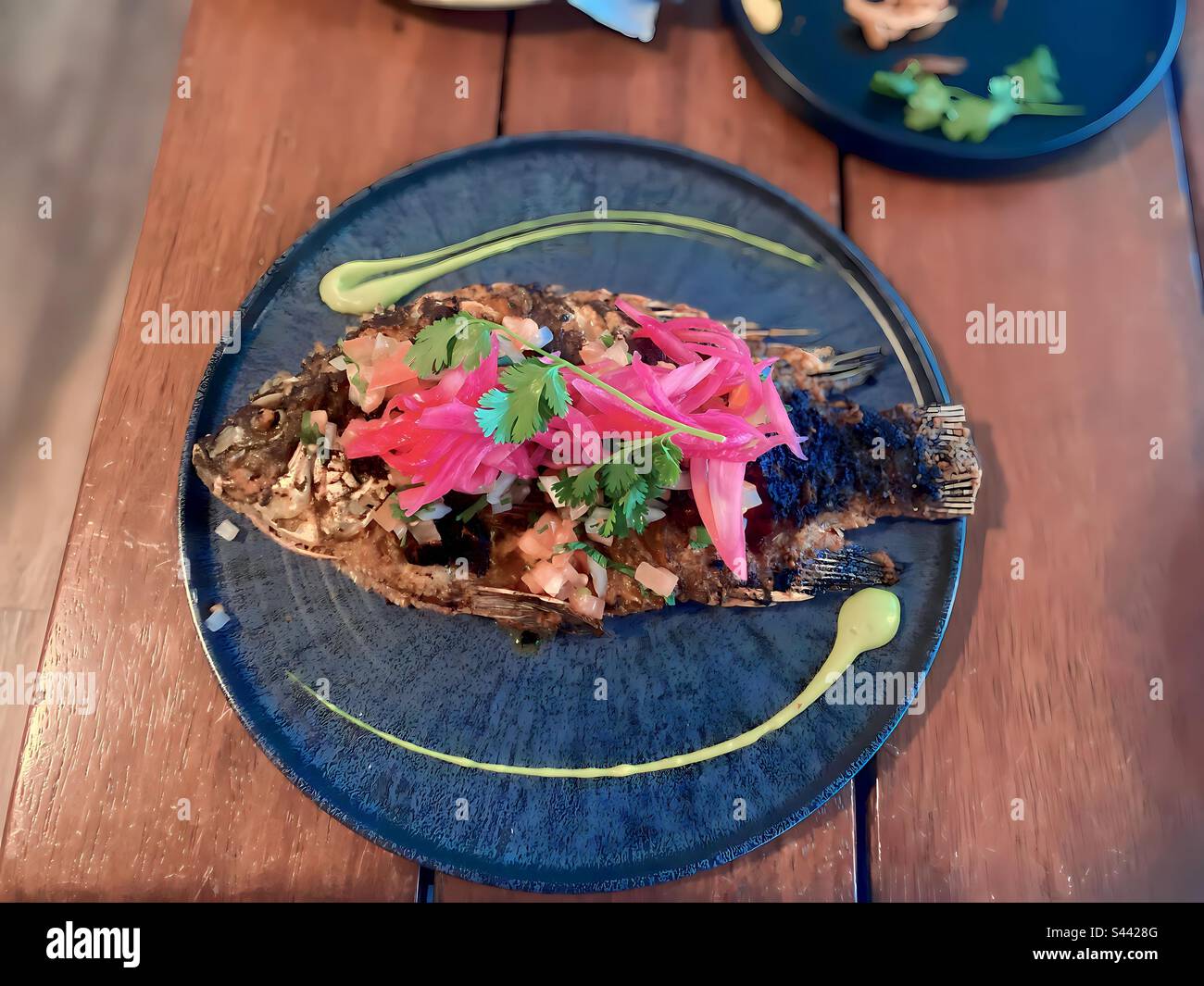 Gourmet Red Snapper served in Cancun Mexico - Smartphone Captured Stock Image