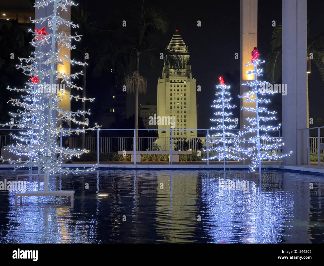 LOS ANGELES, CA, DEC 2022: Christmas Trees decorated with white and red LEDs, reflections in water feature at the Music Center in Downtown. City Hall in background, lit up at night - Smartphone Captured Stock Image