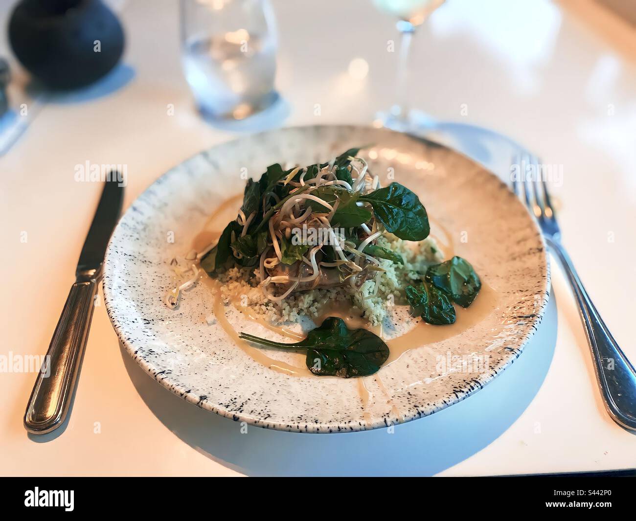 Gourmet Salad - Smartphone Captured Stock Image