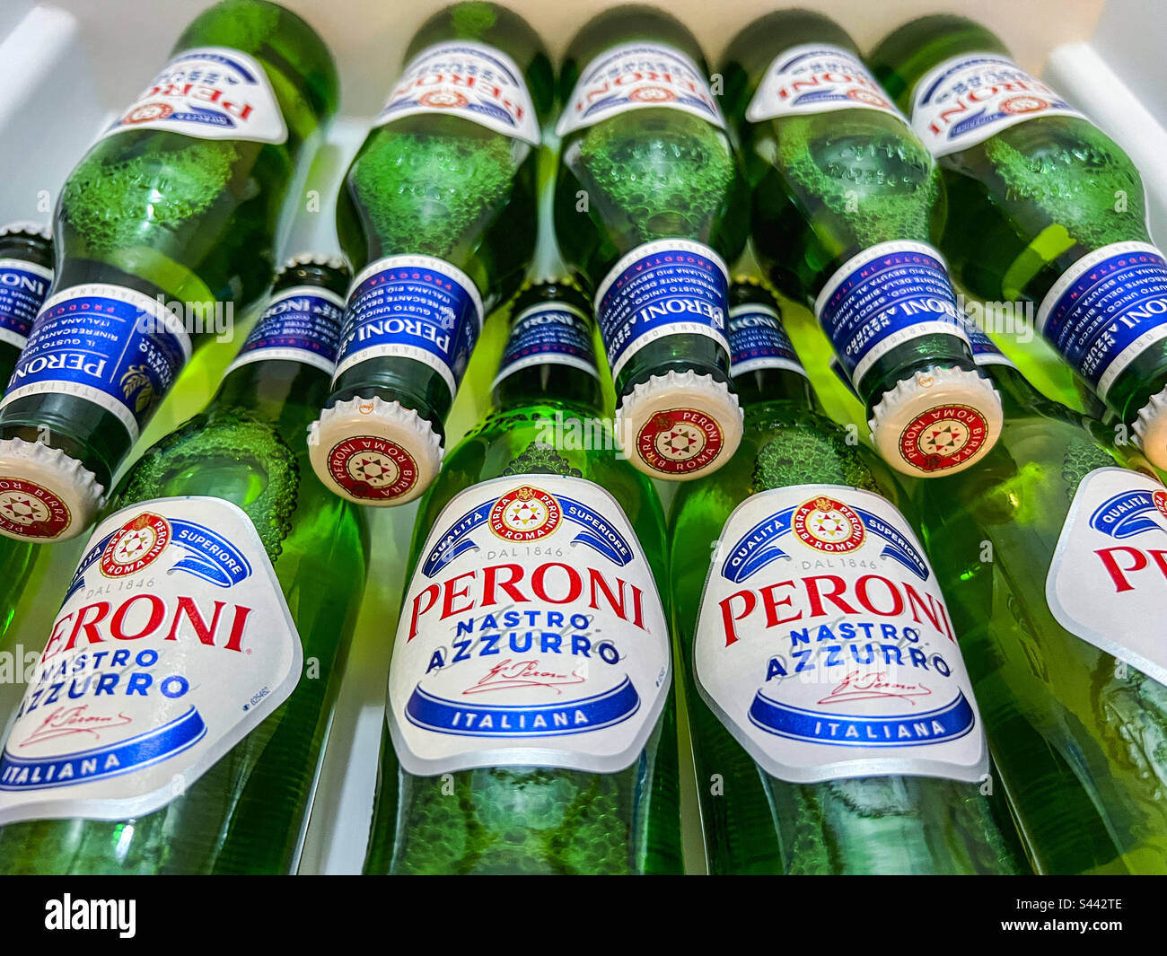 Fridge tray full of Peroni lager - Smartphone Captured Stock Image