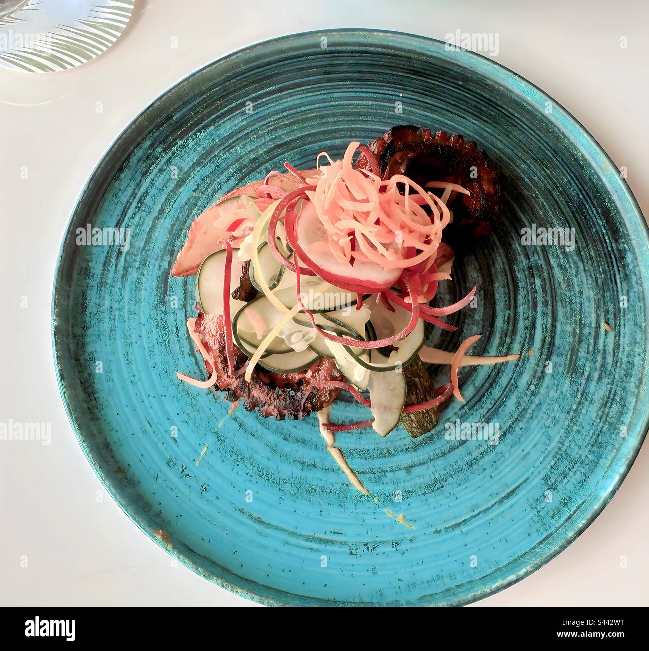 Fancy Gourmet Octopus Stock Photo