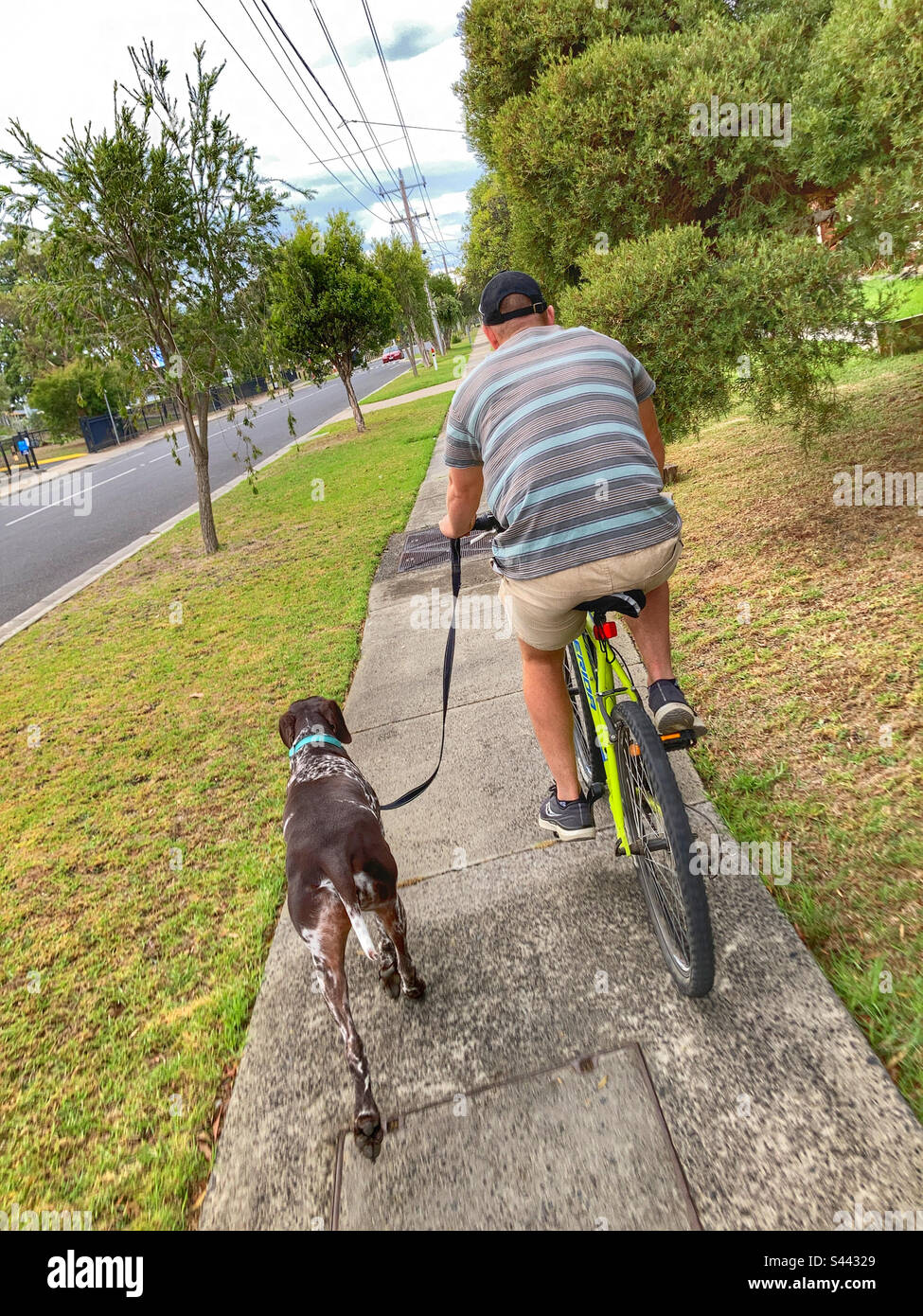 Man cycling with his dog Stock Photo