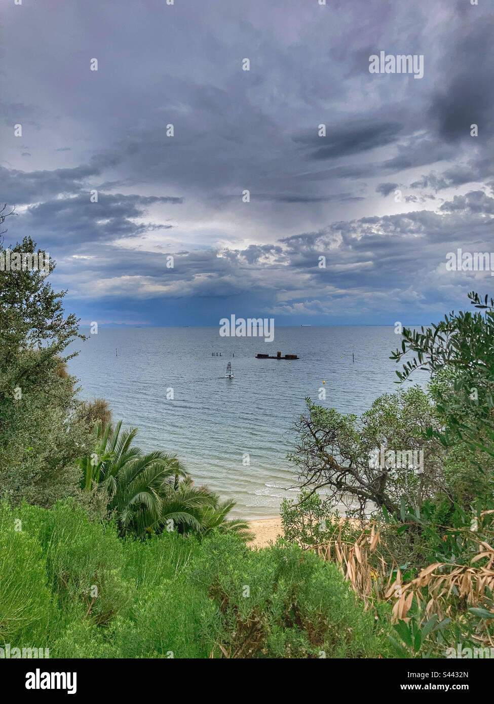 HMVS Cerberus wreck Half Moon Bay Black Rock Australia - Smartphone Captured Stock Image