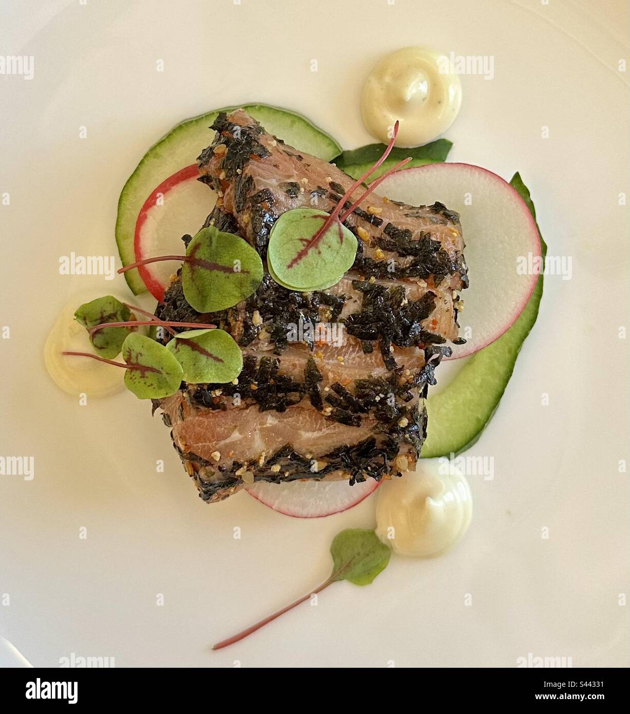 Seared Tuna Dish - Smartphone Captured Stock Image