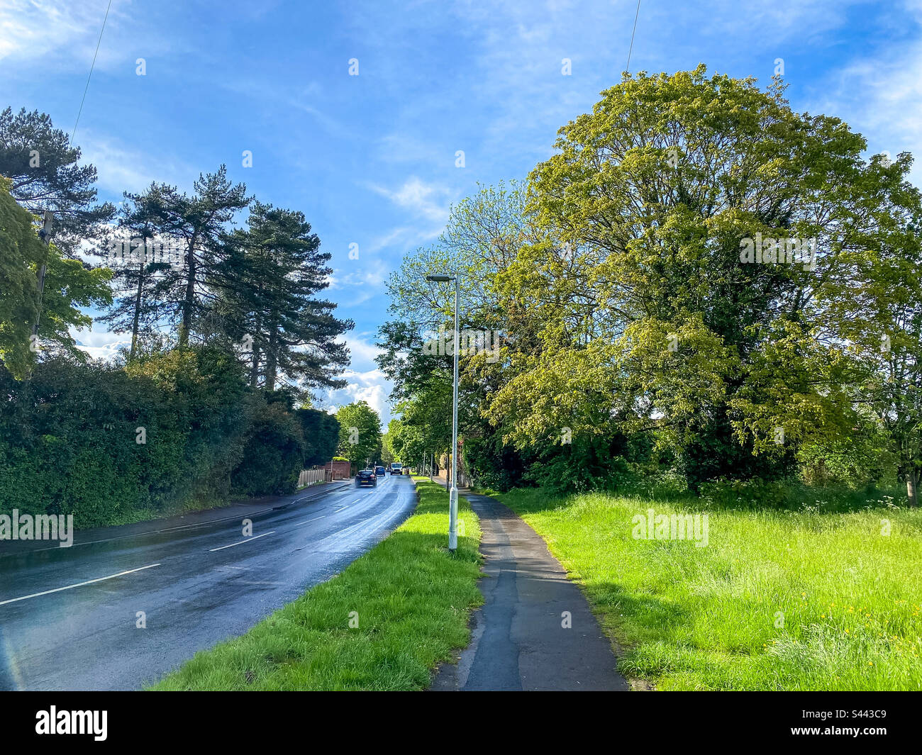 A view down a footpath alongside a road in bright light following rain - Smartphone Captured Stock Image