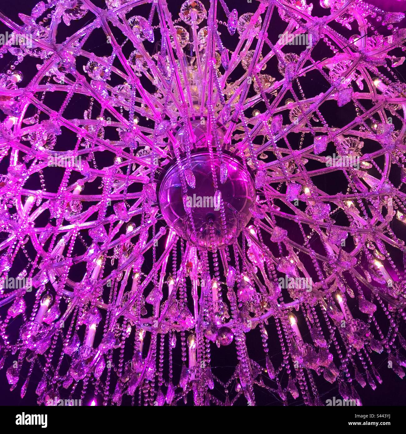 Pink chandelier, light installation, Leeds Castle, Kent Stock Photo Alamy