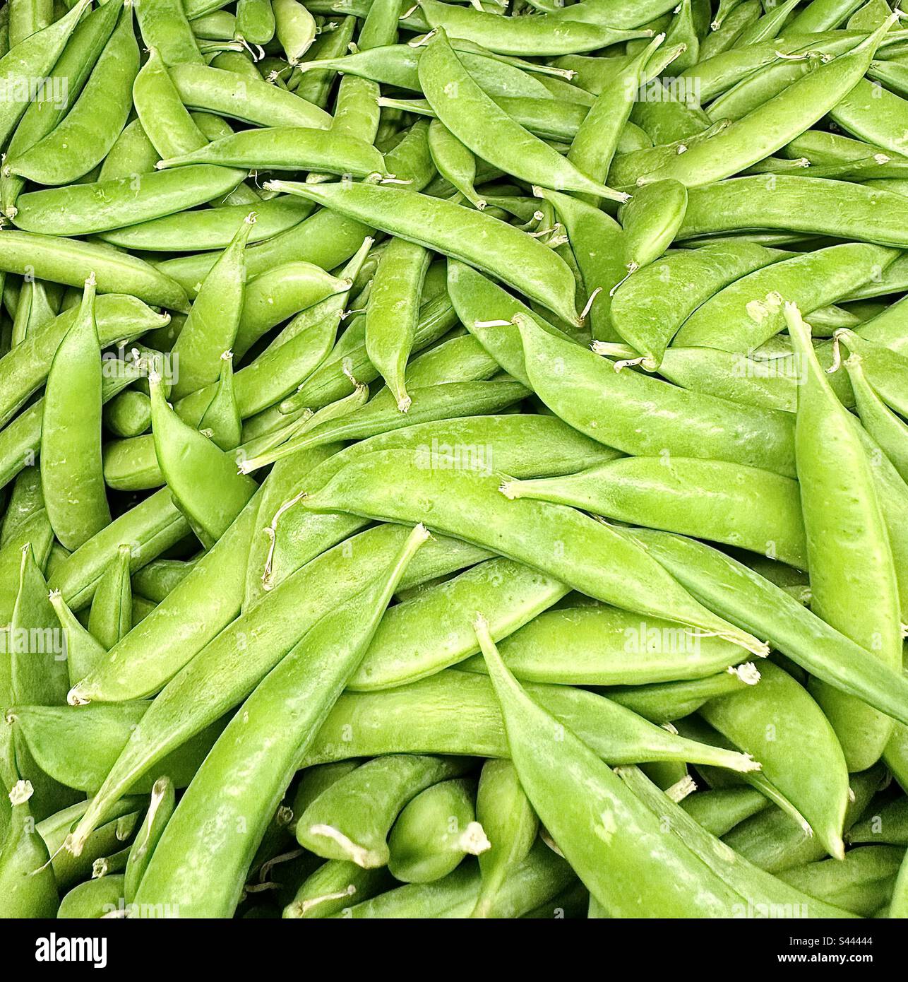 Green snap peas in a bin at the grocery store Stock Photo Alamy