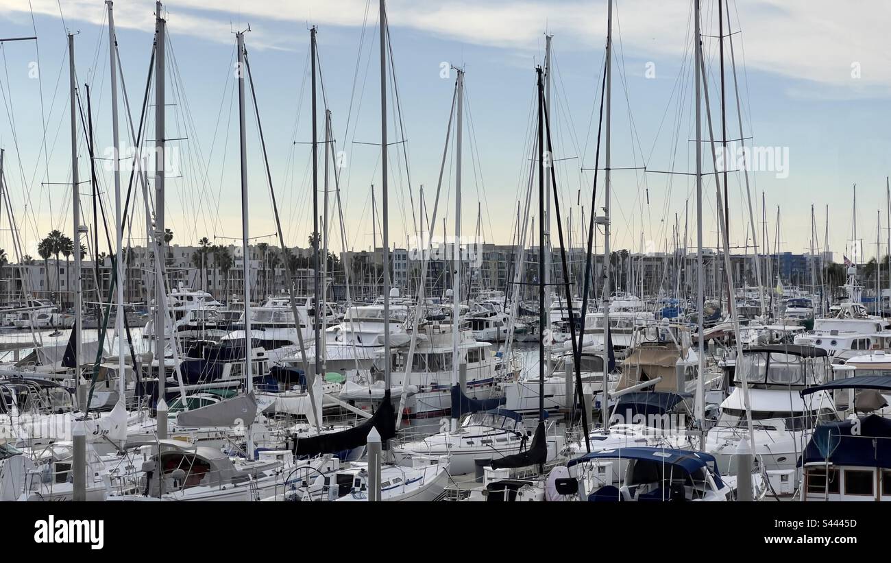 Boat masts fill the skies at Marina del Rey in Southern California - Smartphone Captured Stock Image
