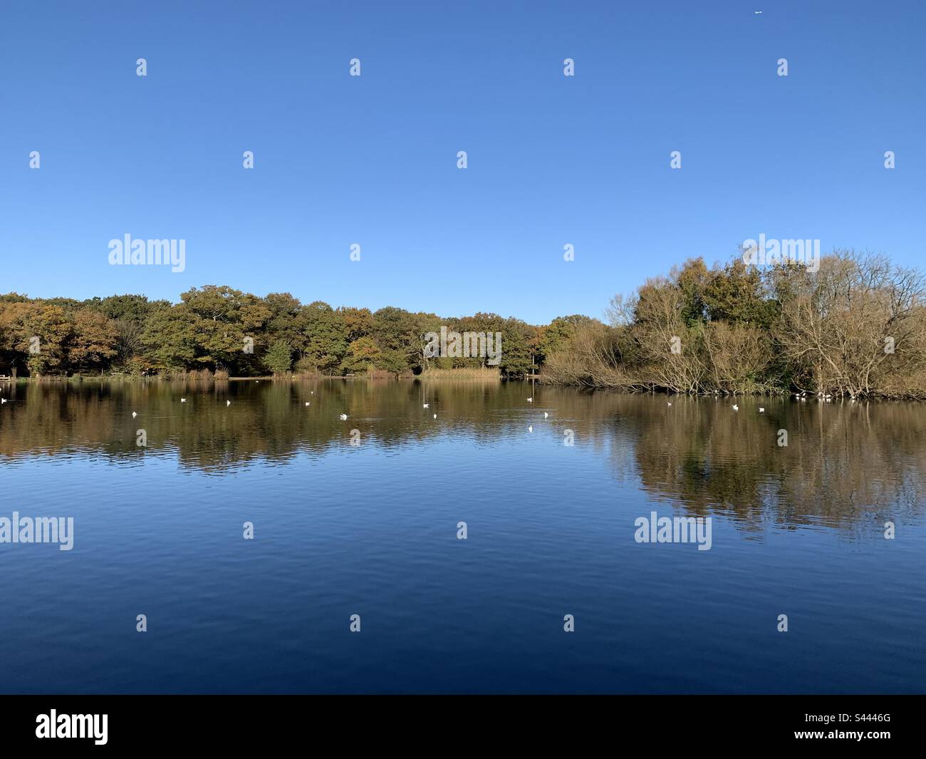 Sun mirror hi-res stock photography and images - Alamy