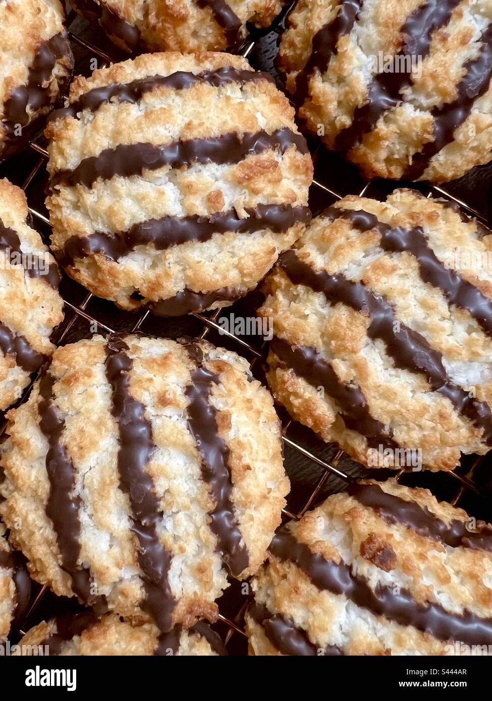 Coconut macaroons Stock Photo