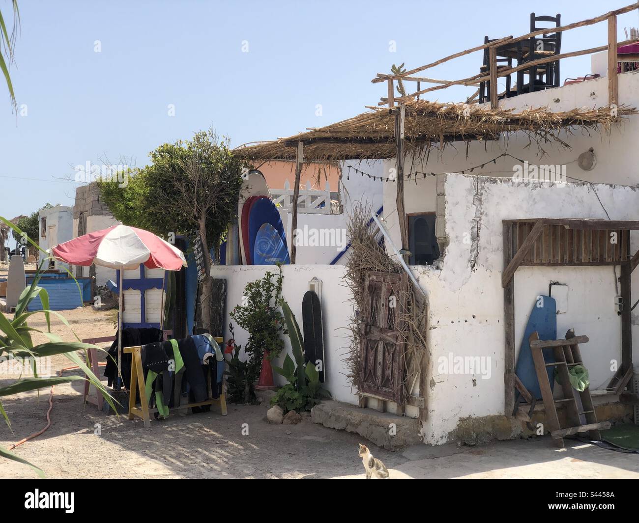 House with a cat Imsouane Morocco Stock Photo