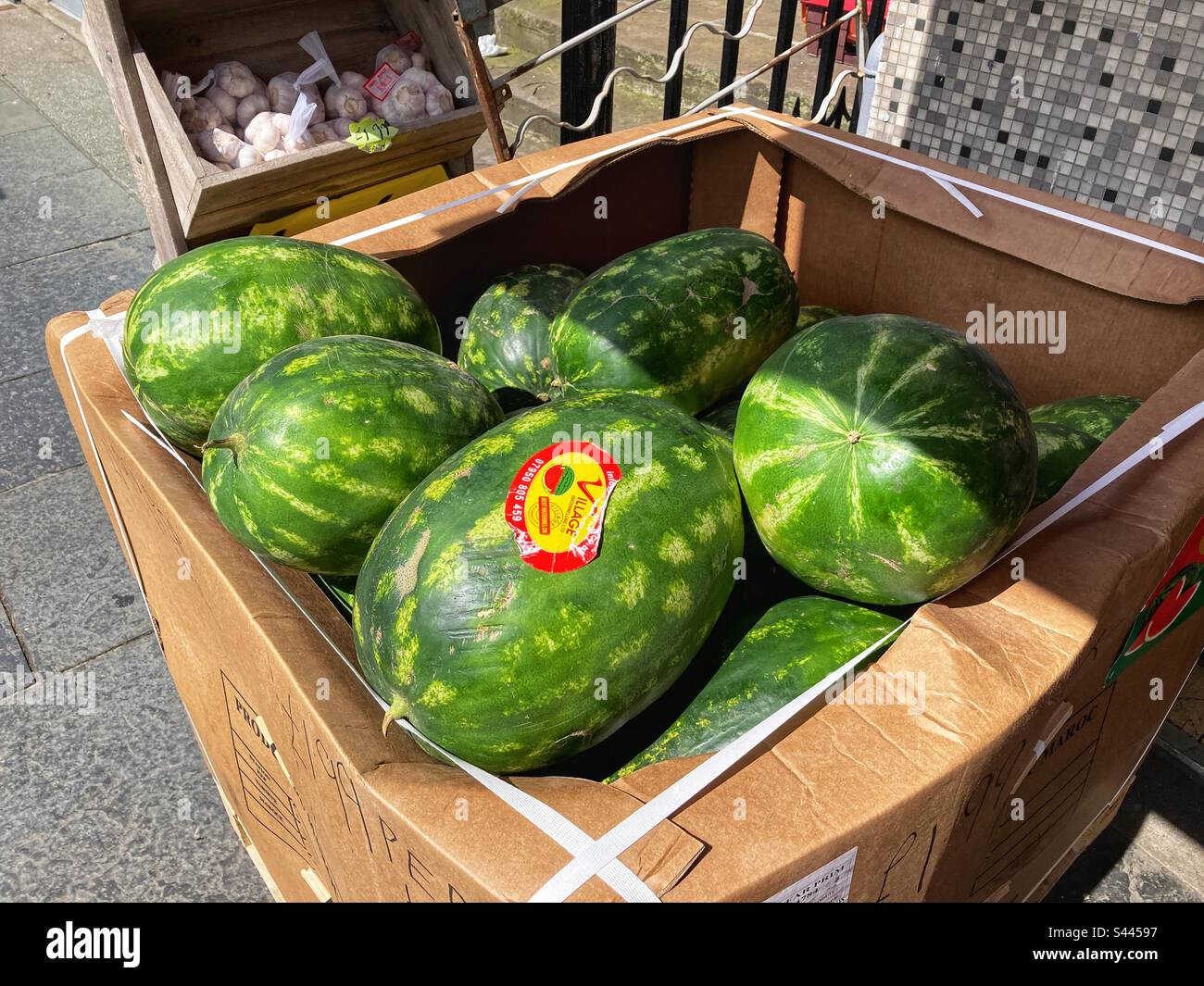 Box of Watermelons for sale at greengrocer Stock Photo