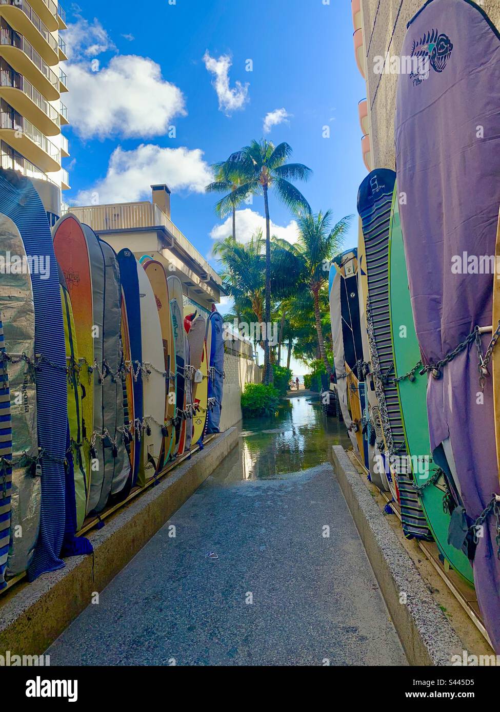 Oahu surfing hi-res stock photography and images - Alamy