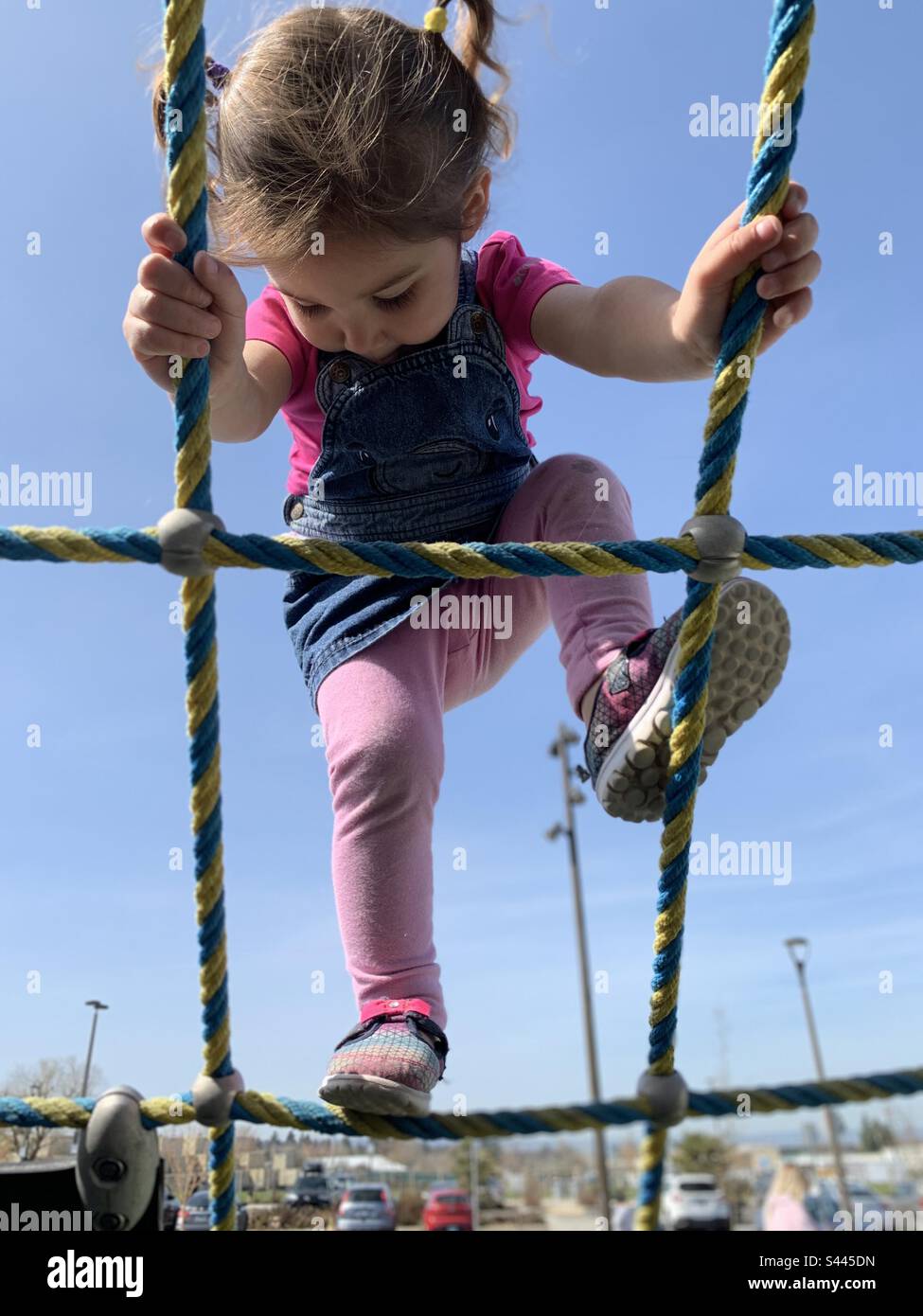 Young toddler girl climbing rope net on play structure. Stock Photo