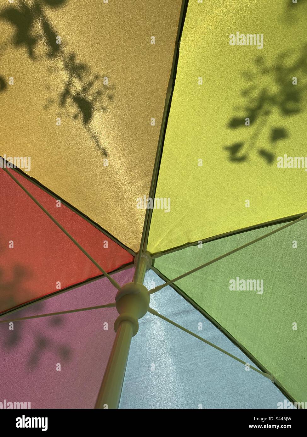 Plant shadows on rainbow umbrella in summer sun Stock Photo Alamy