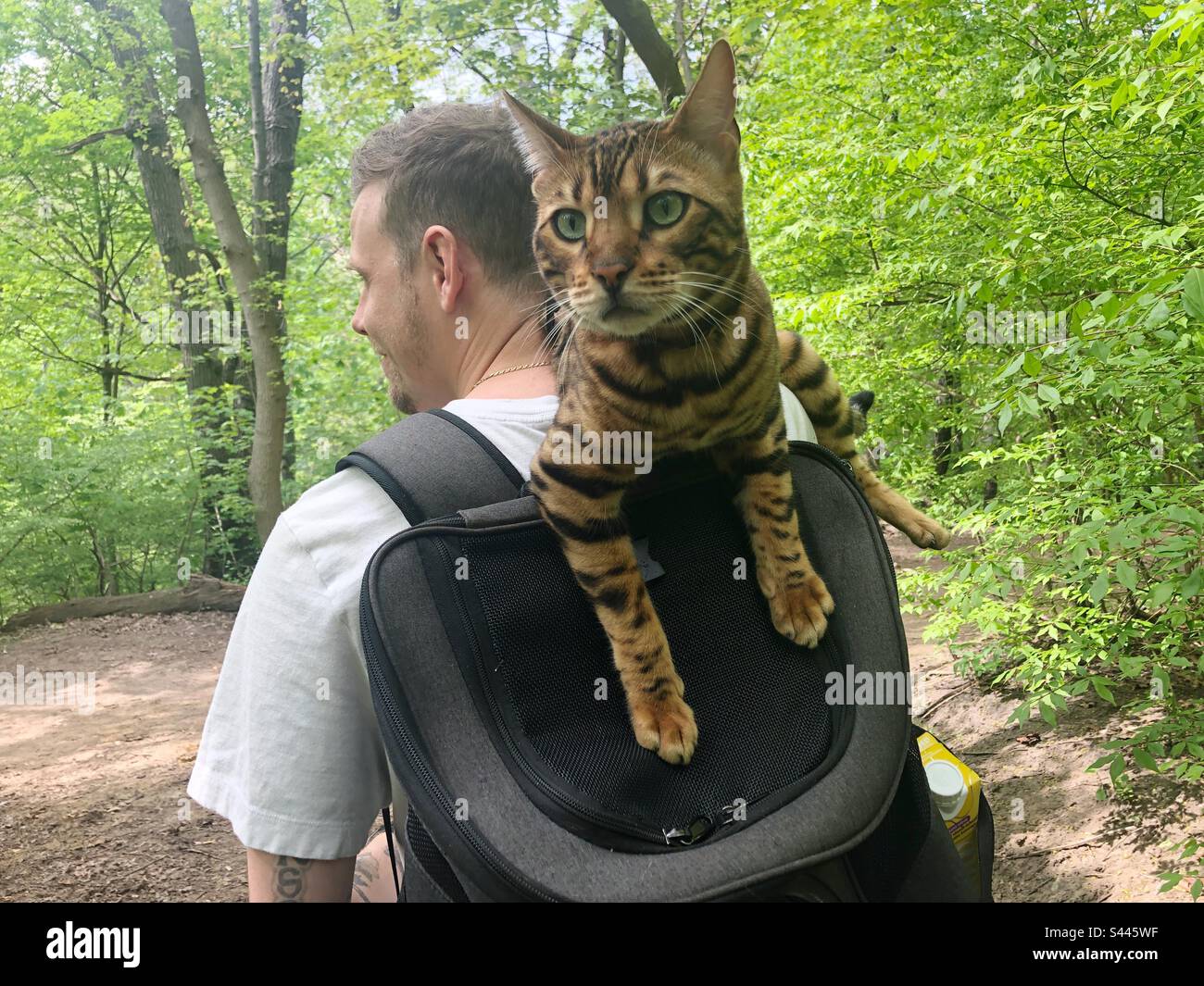 A man and his cat in the park. - Smartphone Captured Stock Image