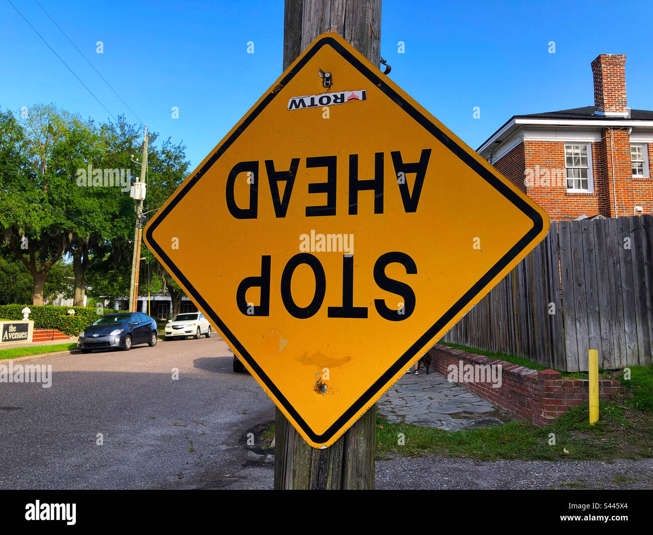 An interesting road sign in the Riverside area of Jacksonville, Florida. - Smartphone Captured Stock Image