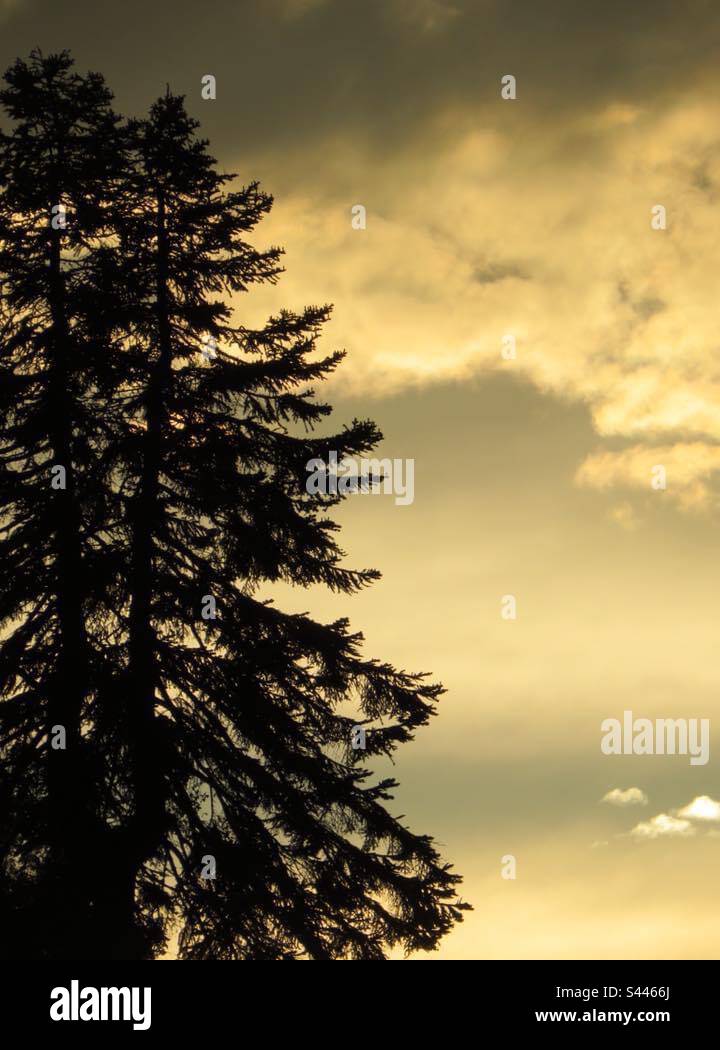 Clouds golden sky sunset hi-res stock photography and images - Alamy