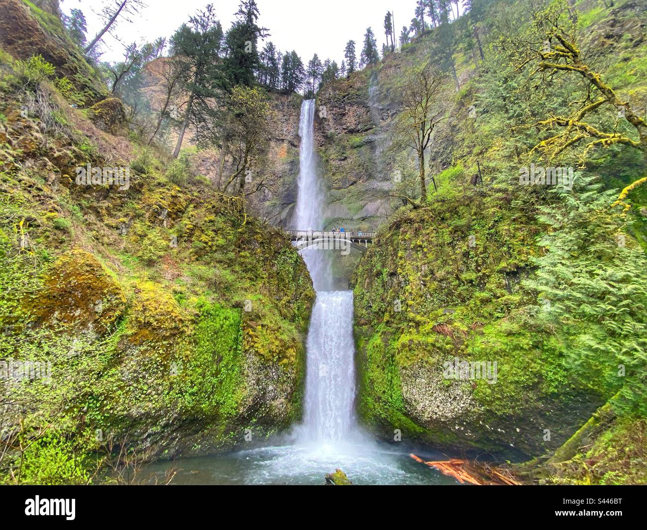 Multnomah Falls in Oregon - Smartphone Captured Stock Image
