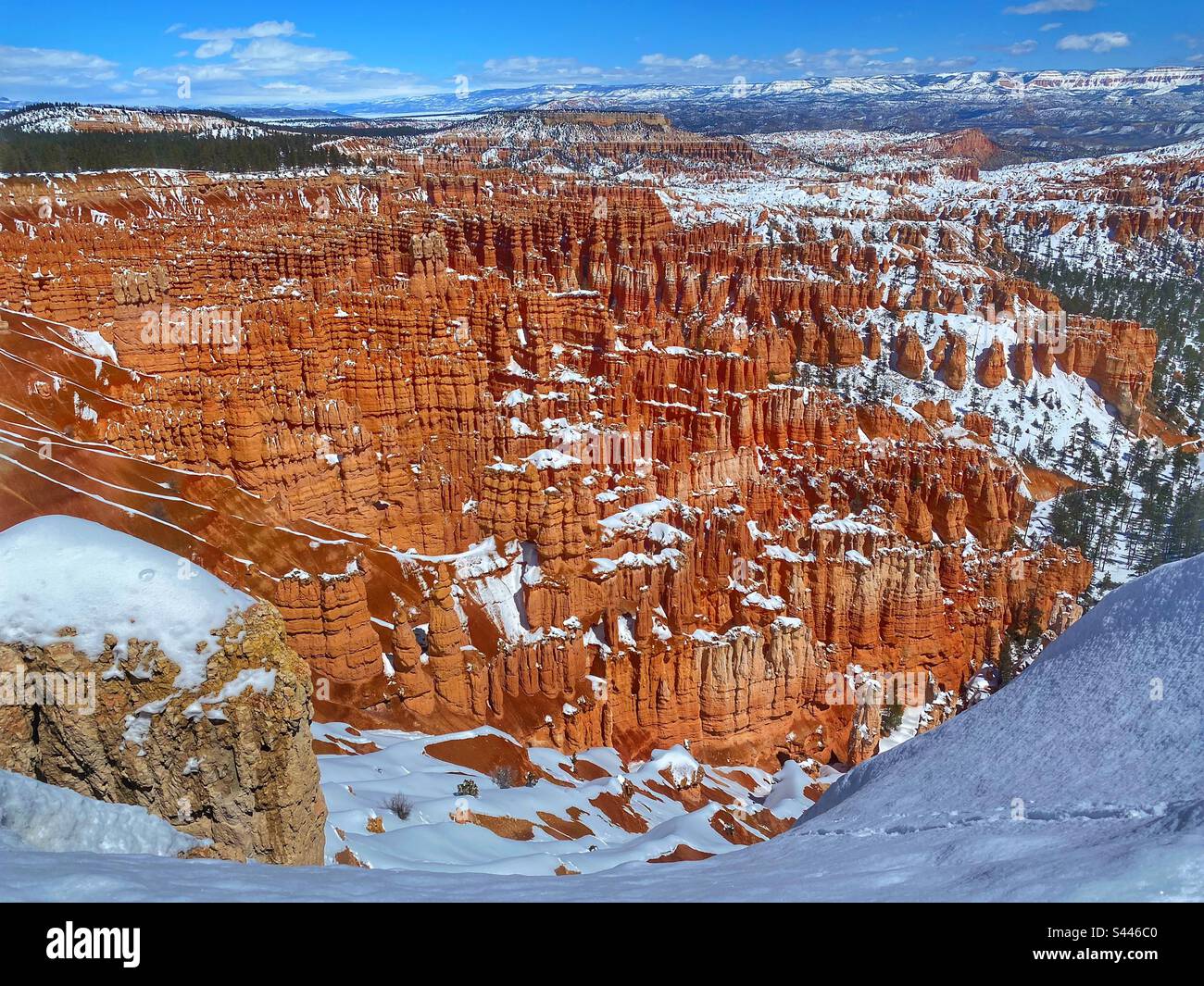 Bryce Canyon National Park - Smartphone Captured Stock Image