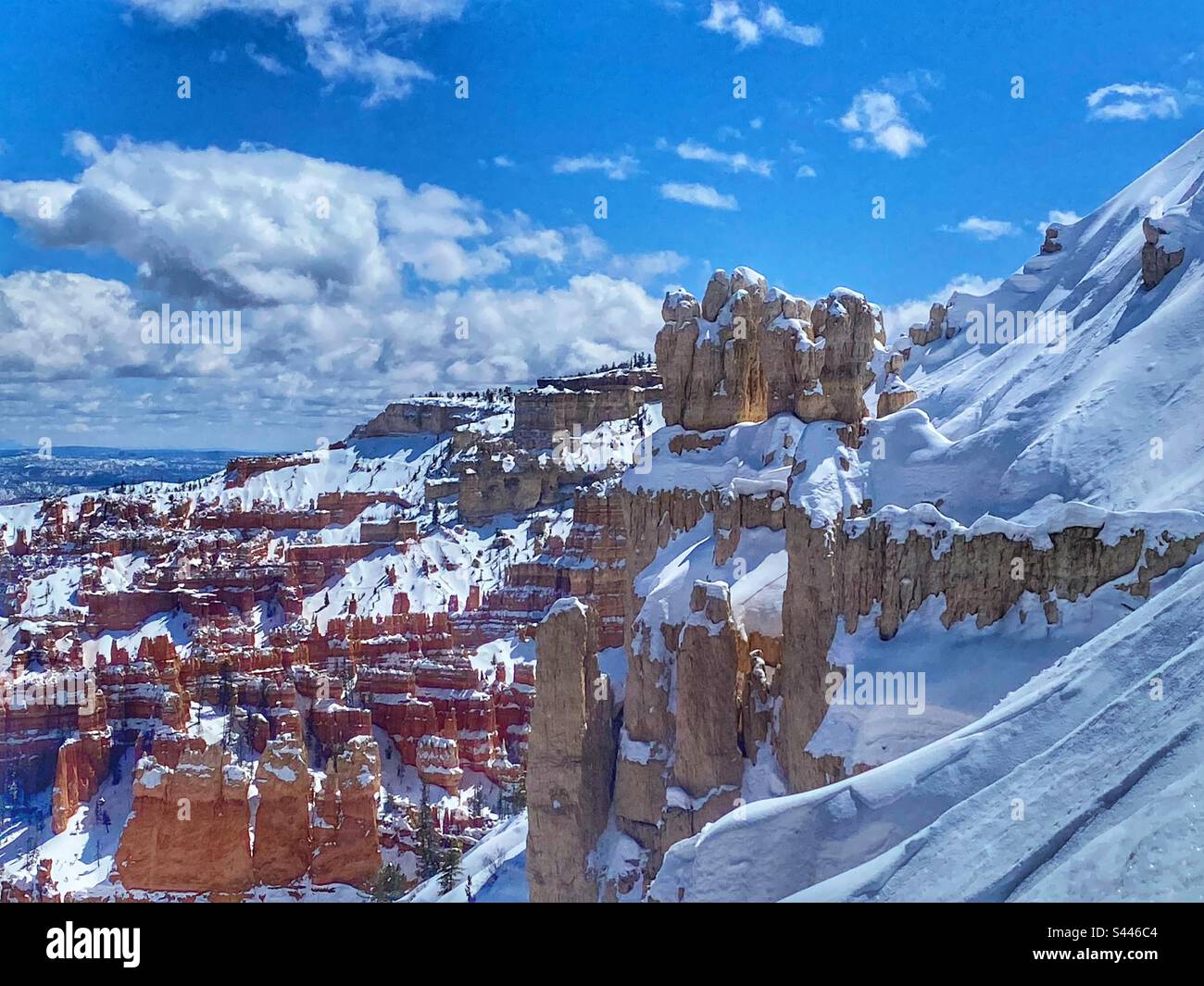 Bryce Canyon National Park - Smartphone Captured Stock Image