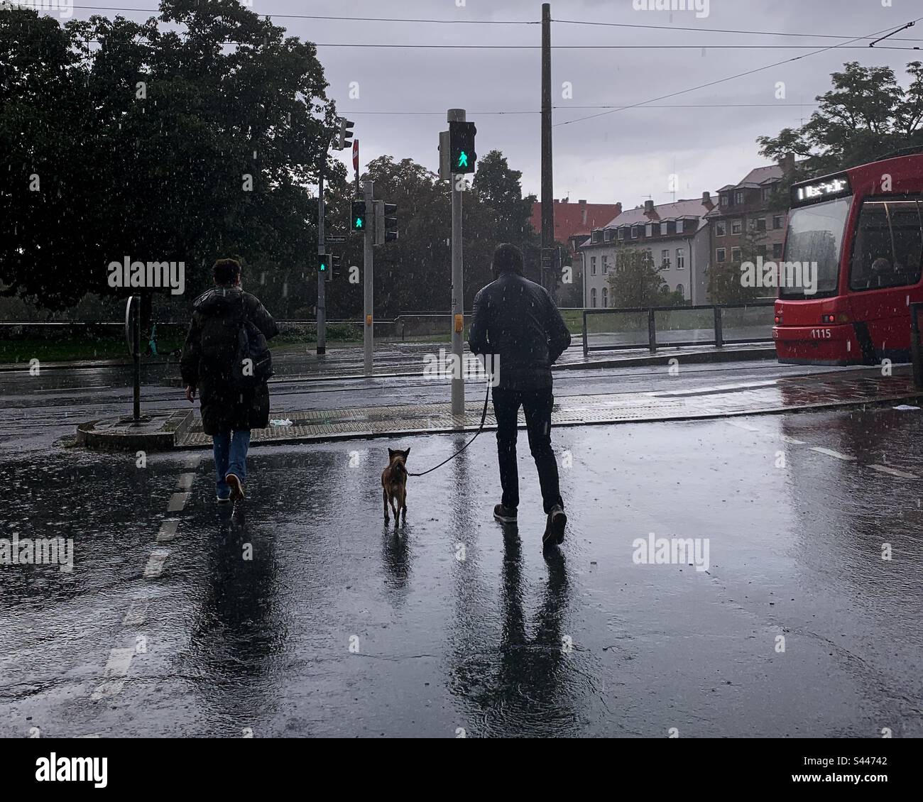 Rainy weather in the city - Smartphone Captured Stock Image