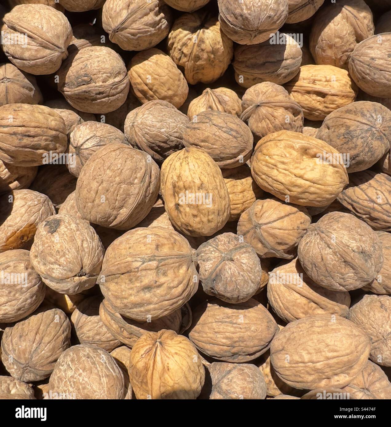 Walnuts for sale in a French Street market - Smartphone Captured Stock Image