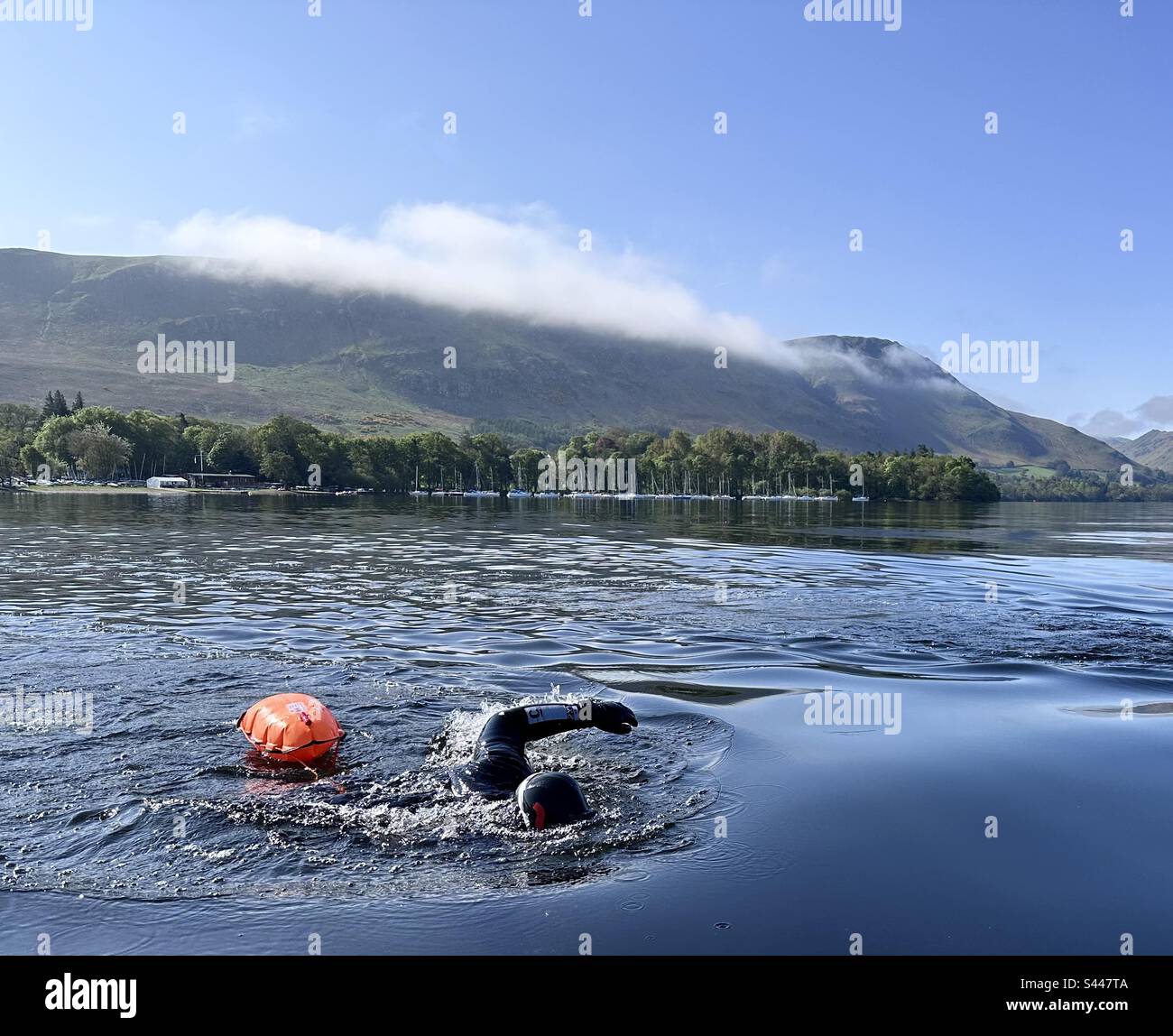 Cold water swim Stock Photo - Alamy