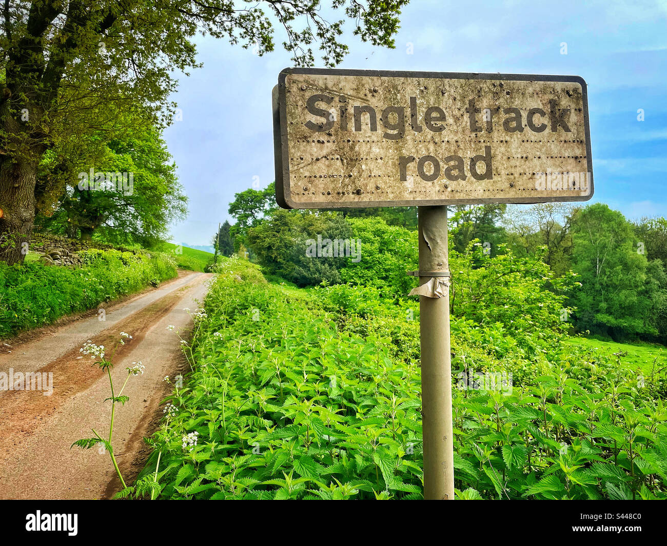 Road sign stating Single Track Road n the countryside. - Smartphone Captured Stock Image