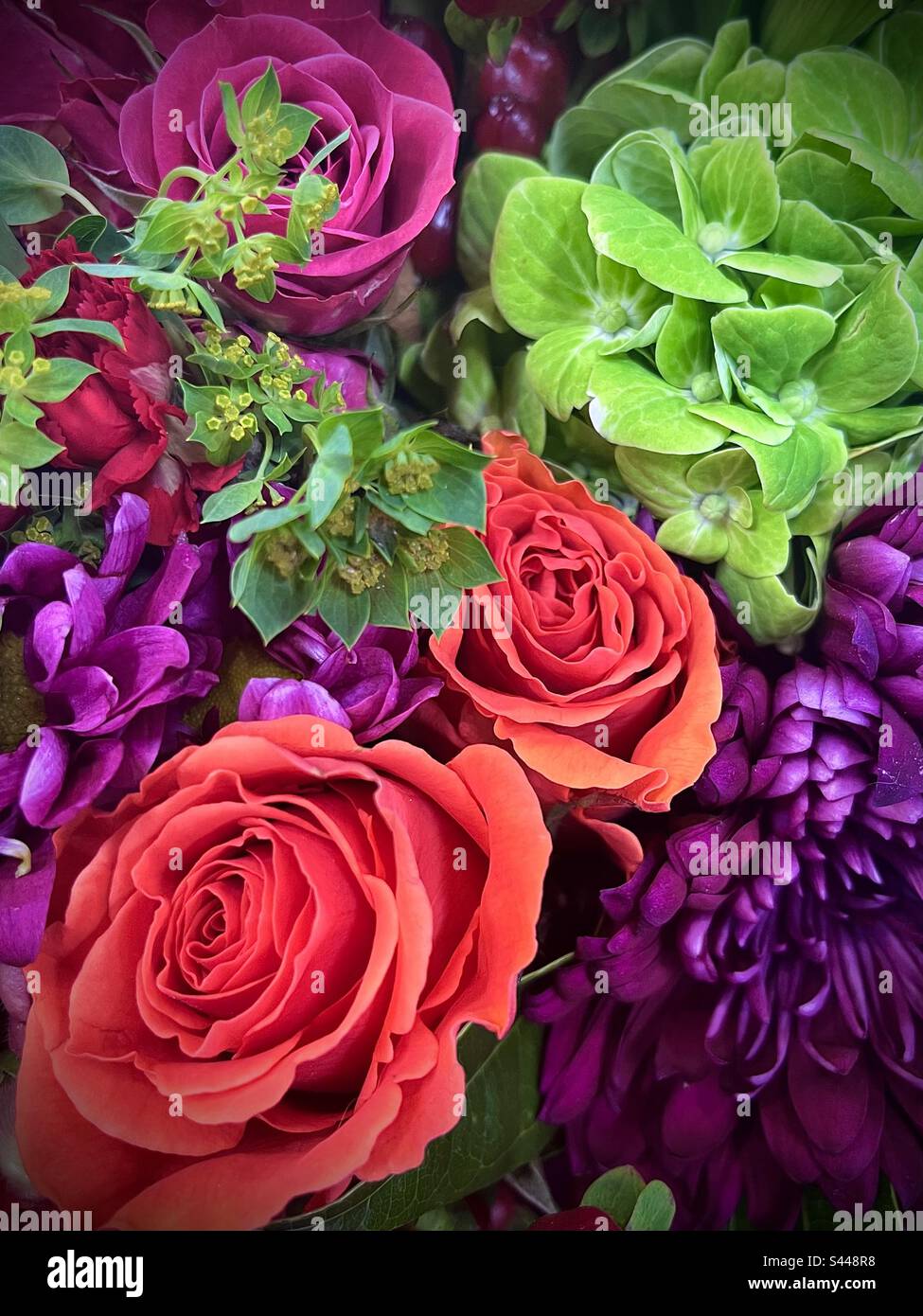 Rich floral hi-res stock photography and images - Alamy