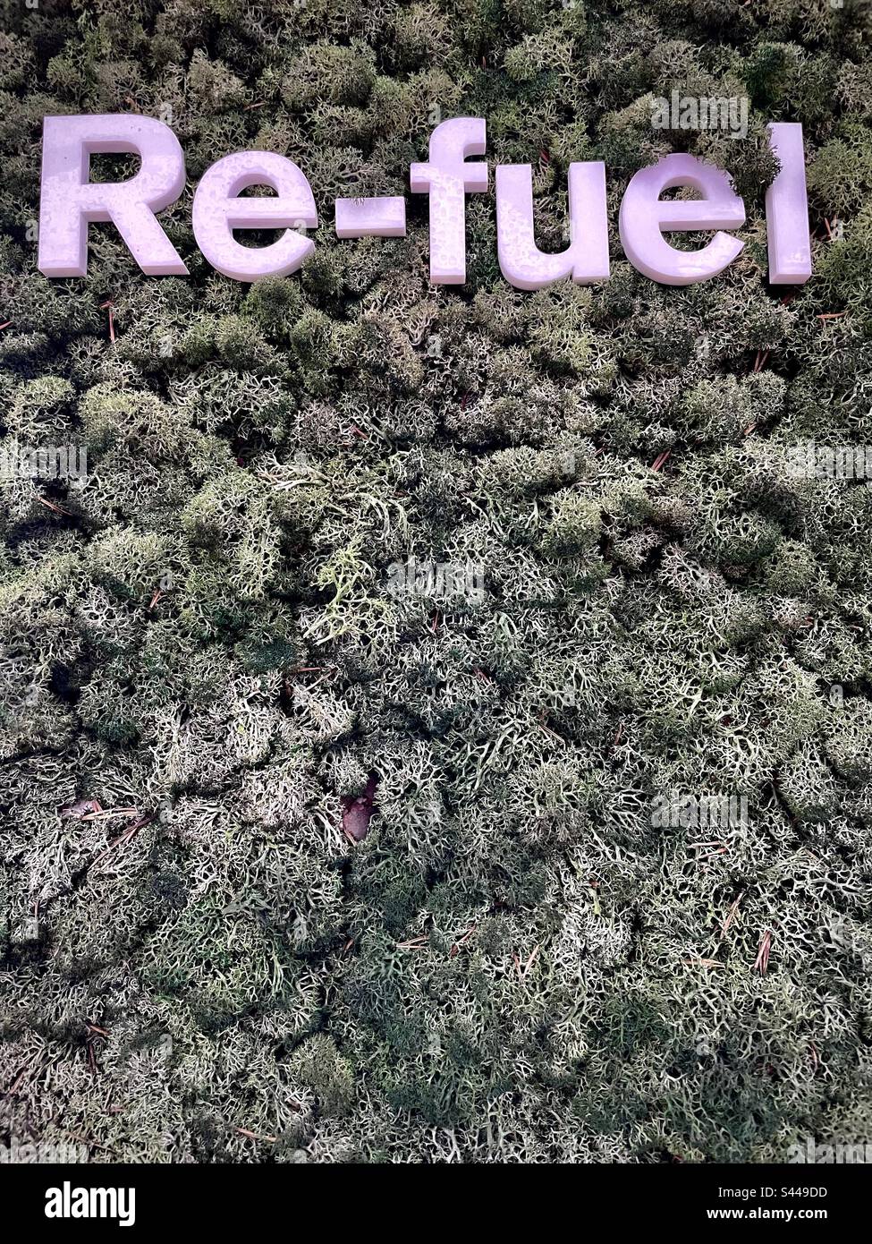 Letters spelling Re-fuel on mossy green background - Smartphone Captured Stock Image