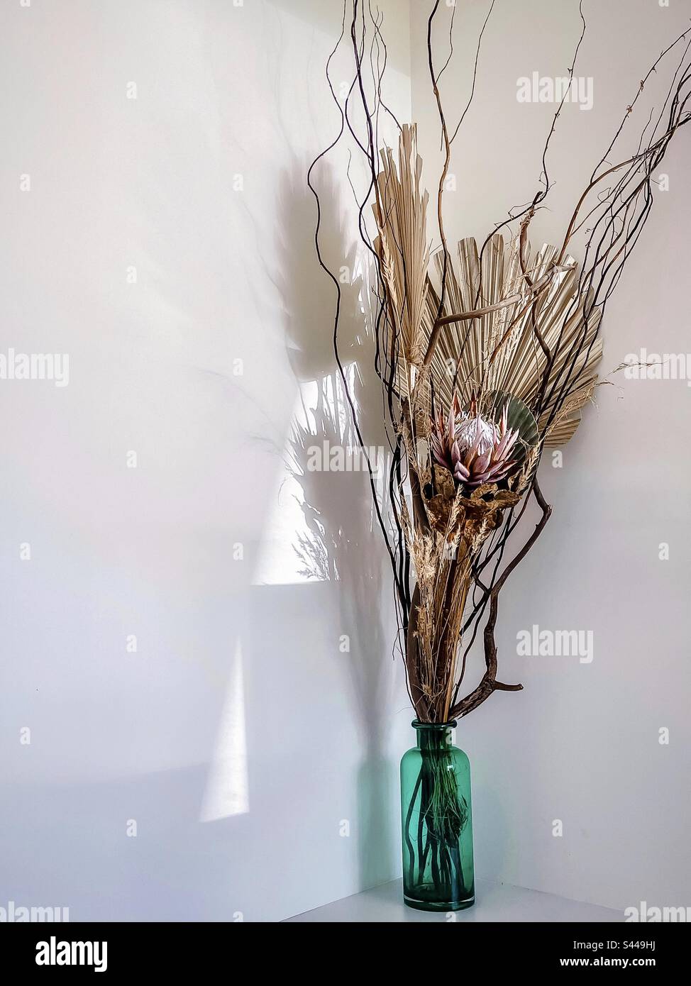 Arrangement of dried flower, palm leaf, grasses and branches in green glass bottle on white table against white wall with shadow patterns. Art. - Smartphone Captured Stock Image
