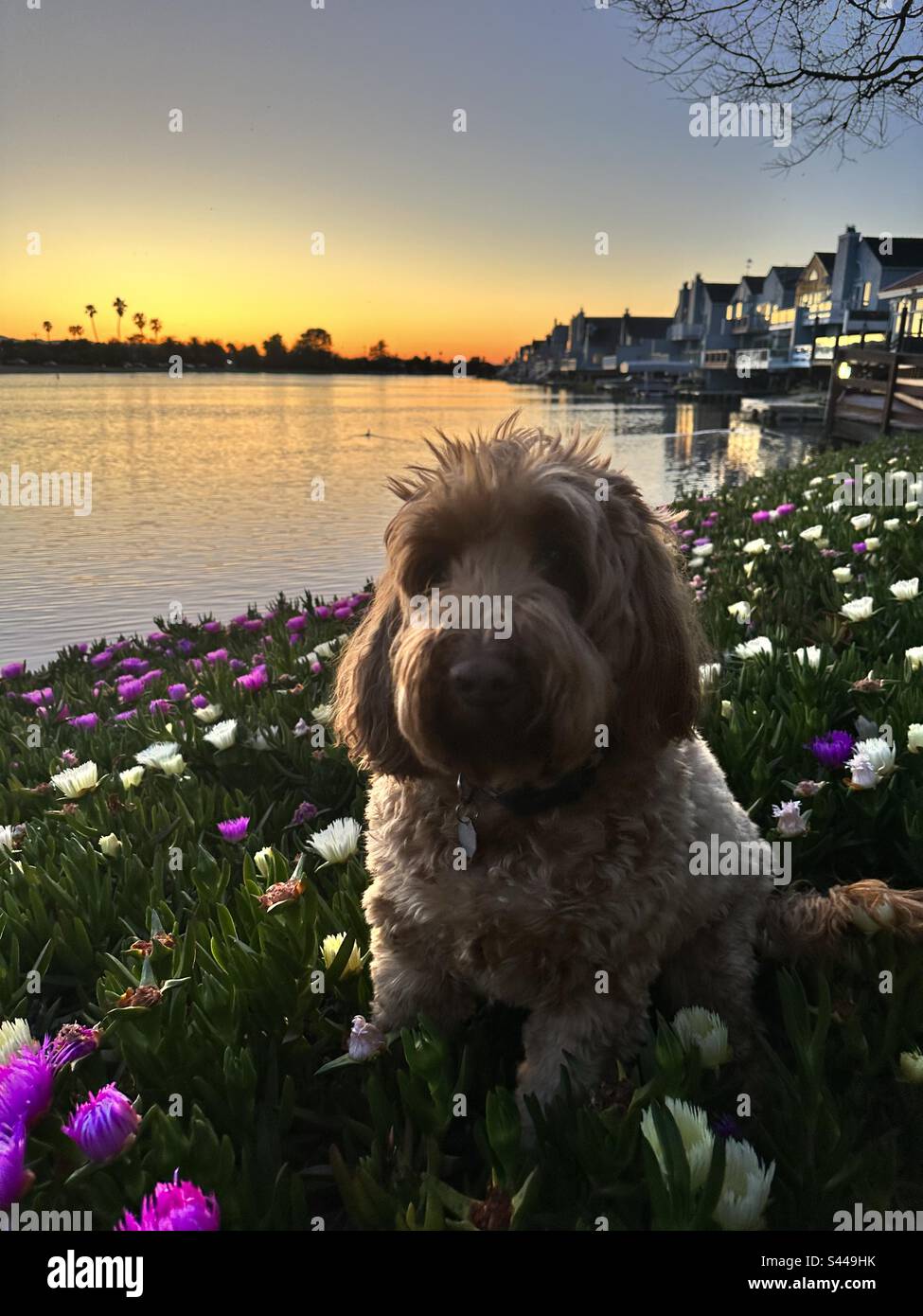 Living His Best Life Stock Photo Alamy living-his-best-life-stock-photo-alamy