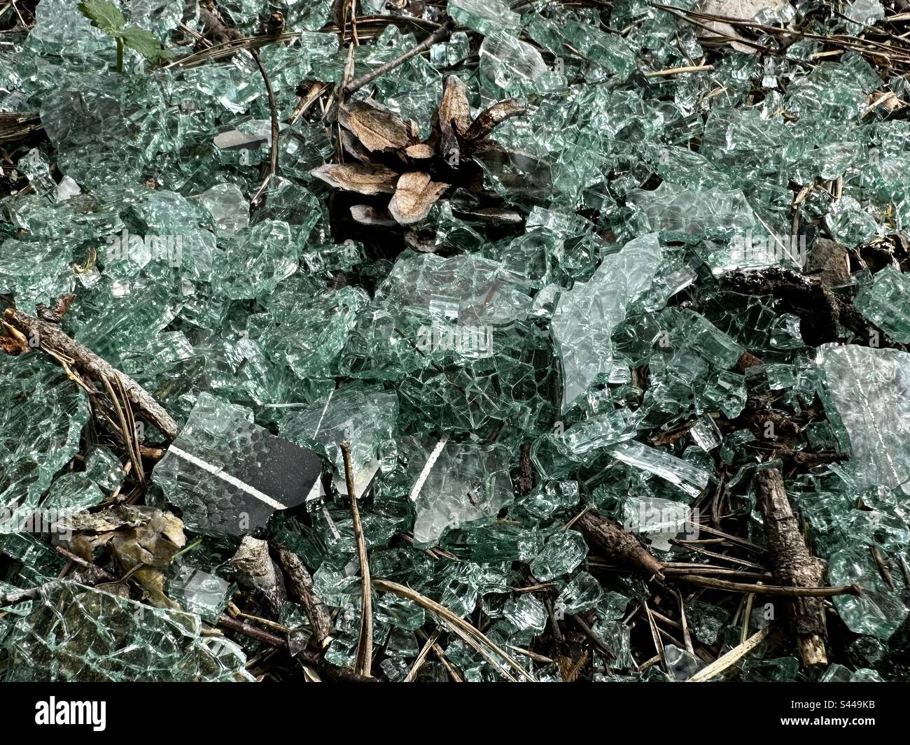 Shattered car glass on the ground - Smartphone Captured Stock Image