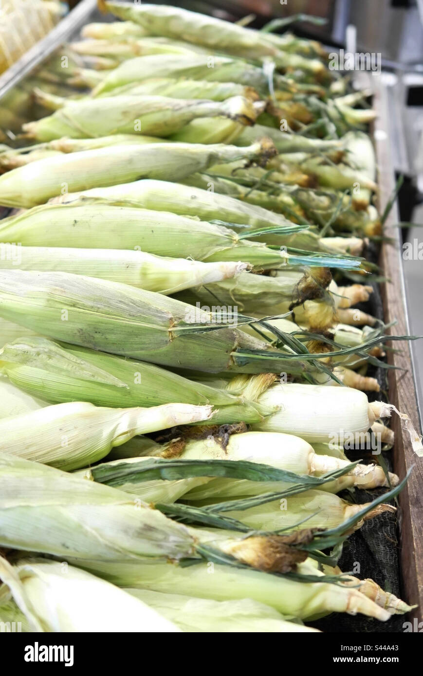 Corn in the husk on display - Smartphone Captured Stock Image