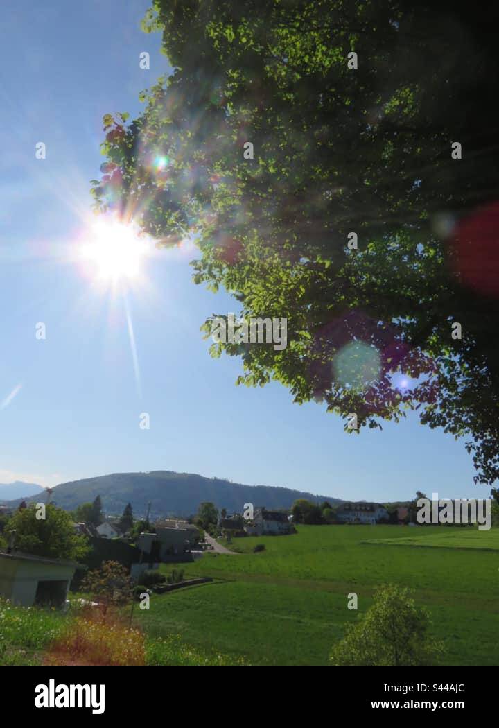 Spring Landscape! Switzerland! - Smartphone Captured Stock Image