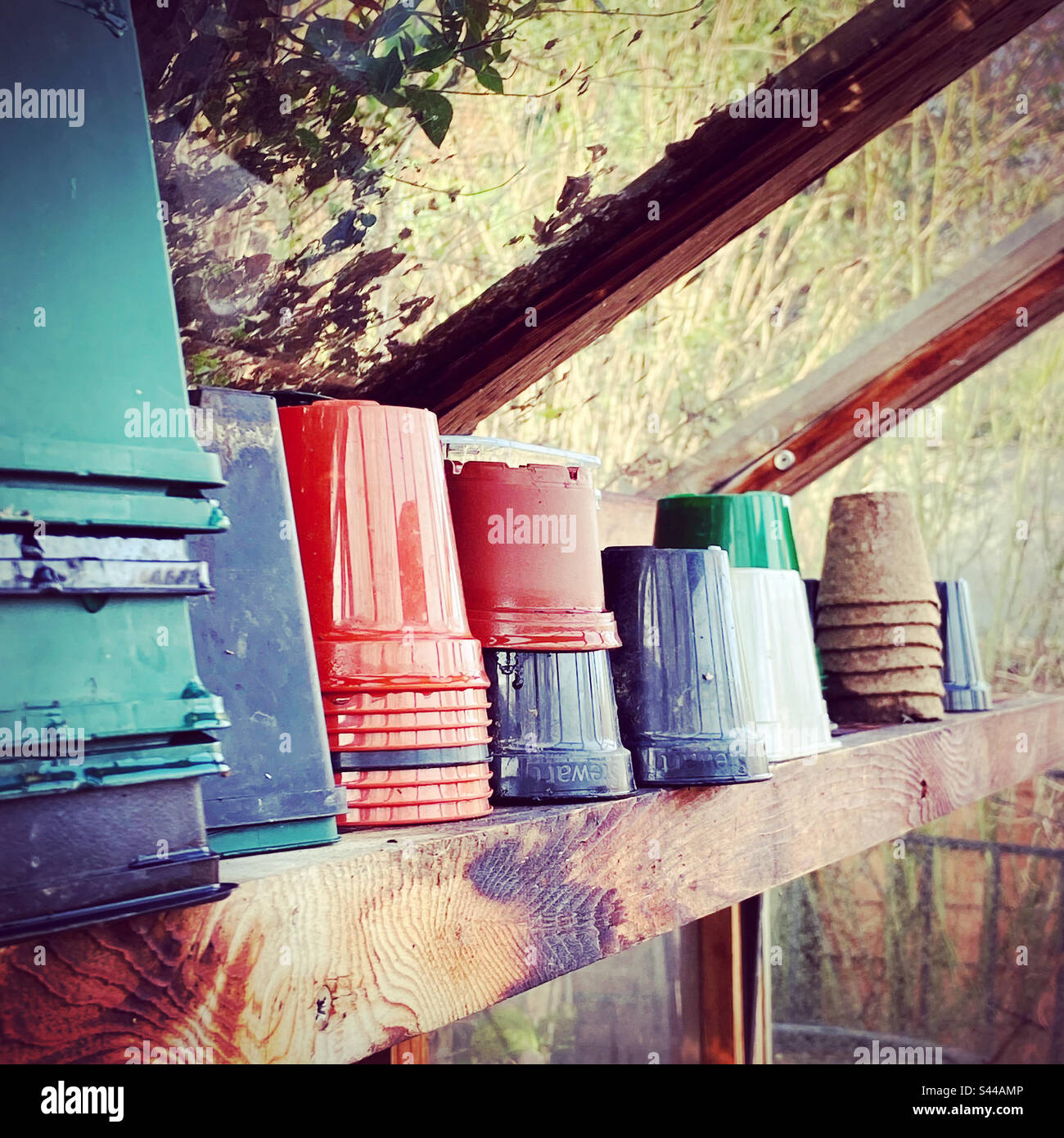 Wooden Framed Greenhouse With Stacked Seed Pots. - Smartphone Captured Stock Image