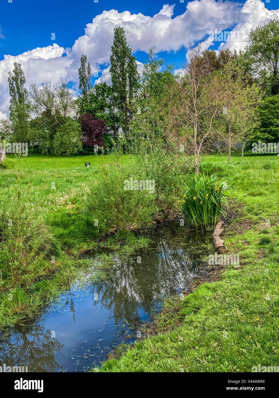 Ladywell Fields Park, Lewisham - Smartphone Captured Stock Image